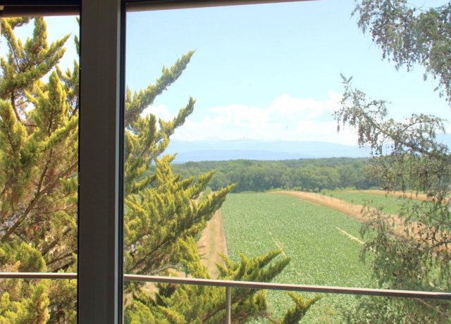Magnifique appartement récent de 4.5 pièces aux combles à Eysins - photo 6