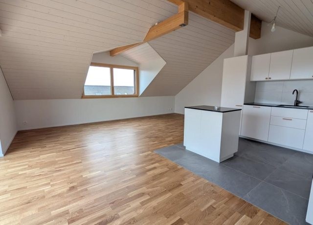 Bel appartement de 4.5 piÃ¨ces en duplex dans une magnifique maison rÃ©novÃ©e - photo 2