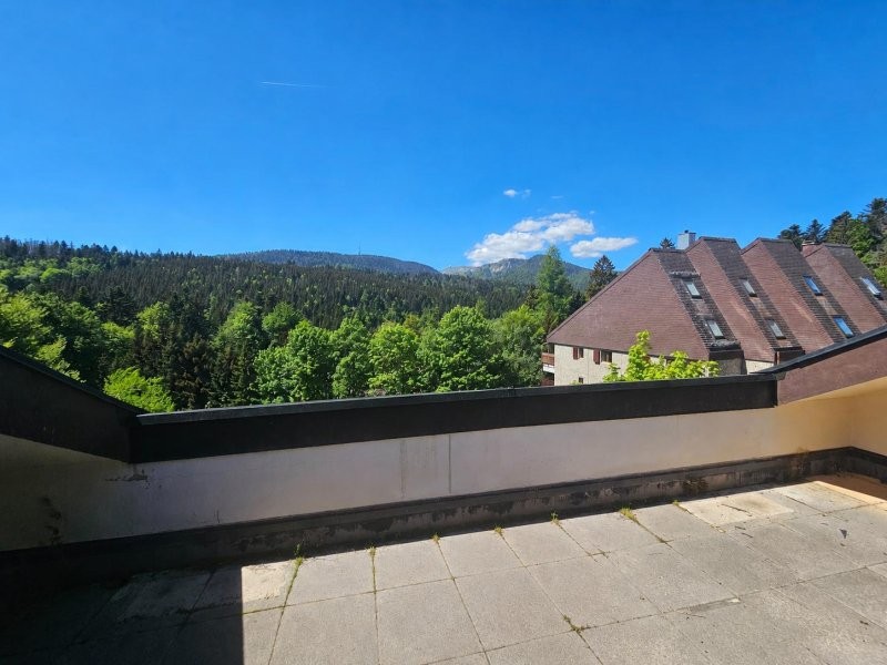 Attique lumineux en duplex avec grand balcon Ã  St-Cergue, Vente aux enchÃ¨res