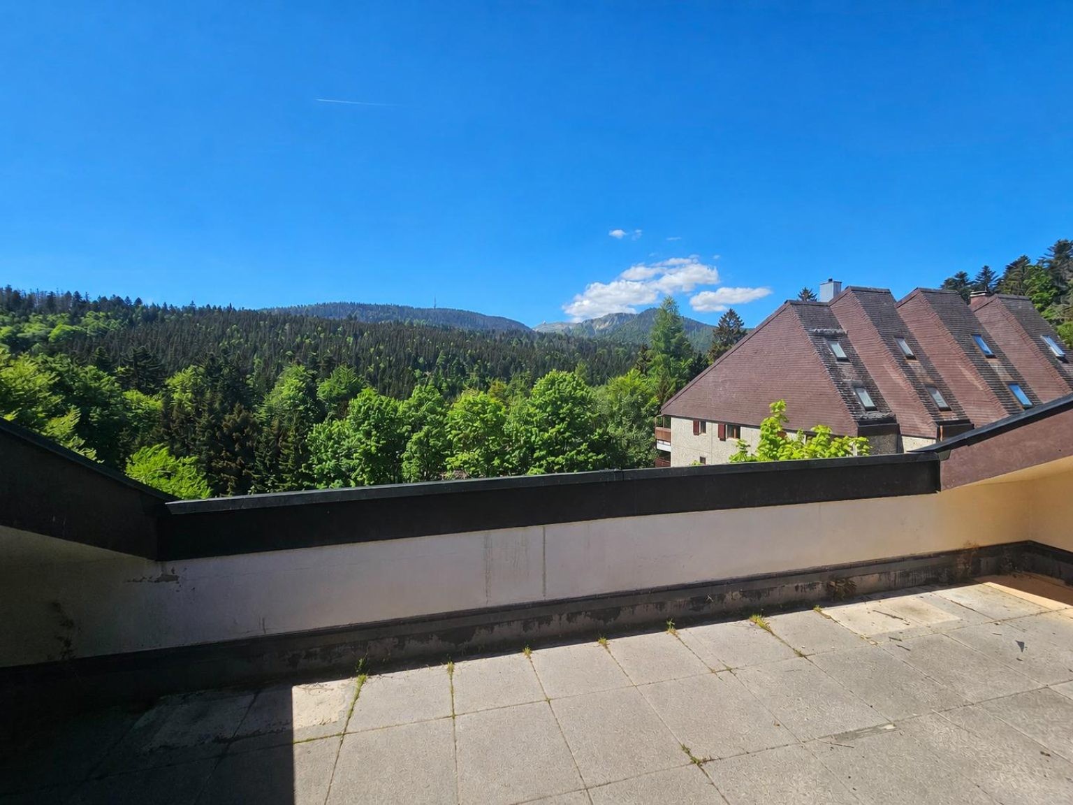 Attique lumineux en duplex avec grand balcon Ã  St-Cergue, Vente aux enchÃ¨res