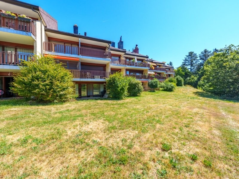 Appartement 2,5 piÃ¨ces avec terrasse Ã  St-Cergue